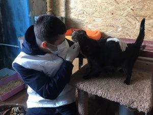 Мы в ответе за тех, кого приручили молодогвардейцы оказали помощь приютам во Всемирный день бездомных животных
