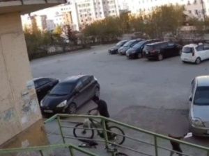 Житель Якутска, укравший велосипед, потерял его во время пьянки