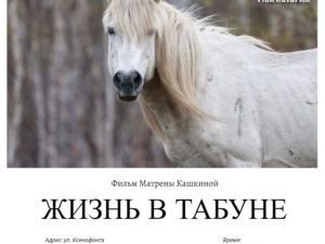 В Якутске состоится открытый показ фильма «Жизнь в табуне»