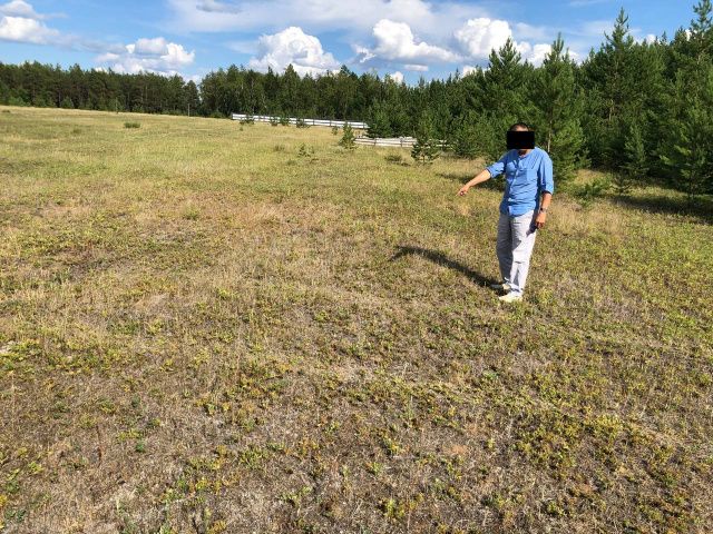 Экс-депутат Нюрбинского райсовета осужден за покушение на мошенничество