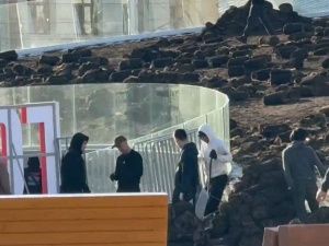 Новый зеленый газон для площади Республики