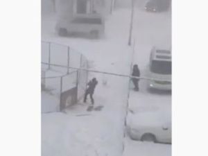 В Якутске женщина сломала кувалдой ловушку для собак и выпустила животное на свободу