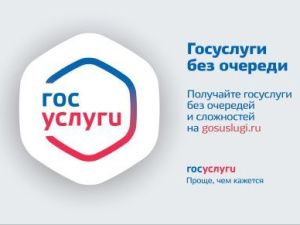 Граждане-двойники могут сообщить об ошибочном долге на Госуслугах