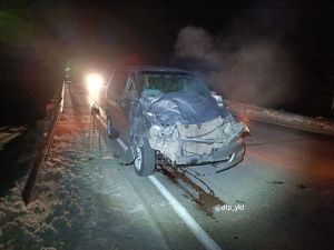 В Якутии автомобиль сбил лошадь на трассе