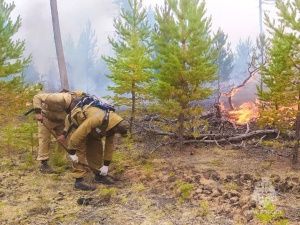 Природных пожаров меньше не становится