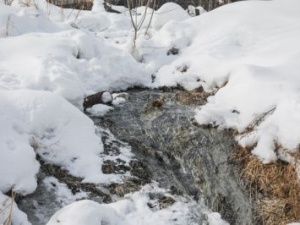 УФСИН Якутии: К сбросам в Лену не имеем отношения