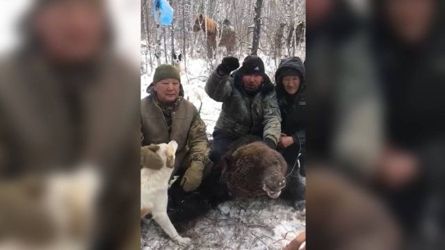 Минэкологии проводит проверку действий охотников, добывших бурого медведя в неустановленные сроки