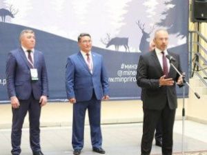 Лесной форум: необходимо внести изменения в лесное законодательство