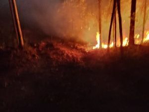 Ассоциация строителей АЯМ. Таежный пожар потушен всем миром