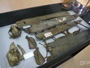 Жуткий обряд в Якутии: Останки собак и детские колыбели…