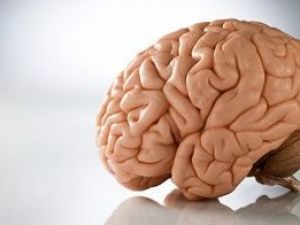 Как защитить свой мозг