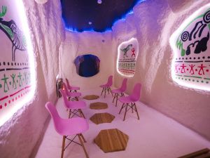 Айсен Николаев проверил работу центра «Сир уустара» в Сунтарском районе