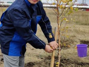 АО «Саханефтегазсбыт» посадил деревья в Парке Победы