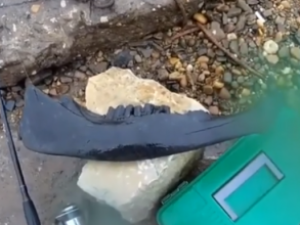 Житель Якутии во время рыбалки нашел челюсть шерстистого носорога?