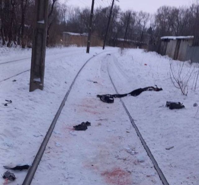 Стая бездомных собак загрызла мужчину в Хабаровске