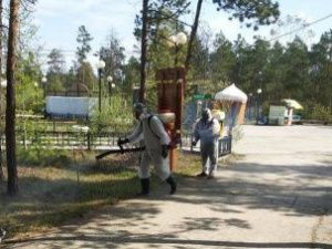 В Якутске городской парк обработали от клещей и комаров