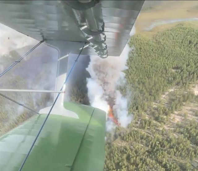 6 лесных пожаров площадью более 18 тысяч гектаров ликвидировали в Якутии за сутки