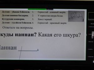 Прошел открытый онлайн-урок эвенкийского языка