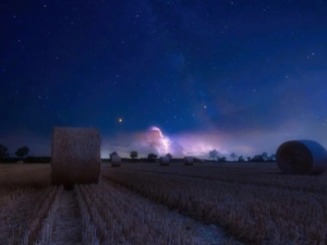 Гороскоп на 31 октября 2025 года для всех знаков зодиака