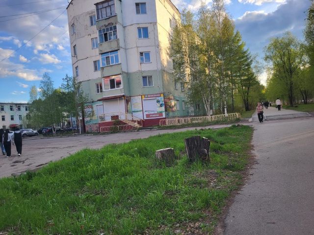 Как в Нерюнгри сберечь зеленые насаждения от лишней вырубки?