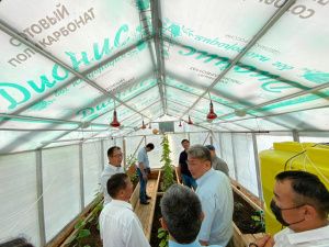 Михаил Никифоров отметил положительный опыт работы Агентства по развитию сельского хозяйства Чурапчинского улуса