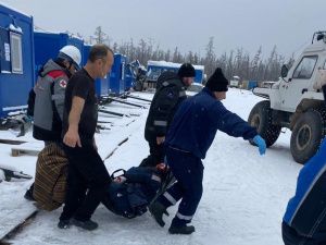 Действия были законными: об отстреле медведя, напавшего на людей, рассказали в Минэкологии Якутии