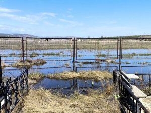 За бардак на Вилюйском кладбище прокуратура возбудила дело в отношении руководителя МБУ «Ритуал»