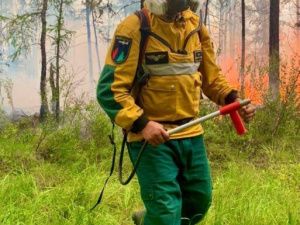 Парашютисты-пожарные Покровского авиаотделения ликвидируют лесной пожар