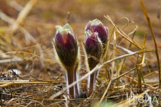 Что можно и нельзя делать 23 апреля 2024 года