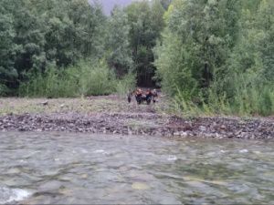 Пошел с коллегой на работу и... пропал: Уголовное дело о безвестном исчезновении 26-летнего якутянина взял под контроль Глава СК России