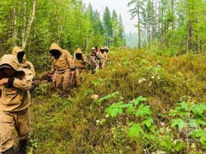 В Якутии действует 95 лесных пожаров — Авиалесоохрана