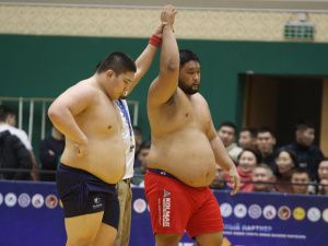 Борцы Тимур Николаев и Никита Софронов завоевали титулы абсолютных чемпионов турнира Ноговицыных