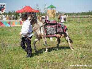 На «Ысыахе Туймаады-2023» прошел конкурс традиционного конского убранства