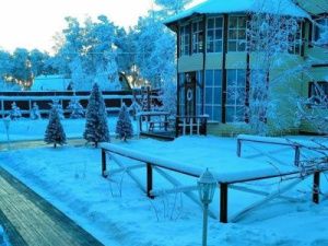 Фотофакт: Новогодний декор от легенды якутской эстрады Екатерины Егоровой