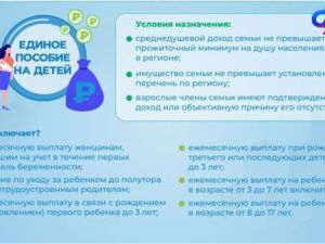 Правила назначаения единого пособия на детей