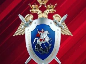 По факту гибели малолетней девочки в городе Мирном возбуждено уголовное дело