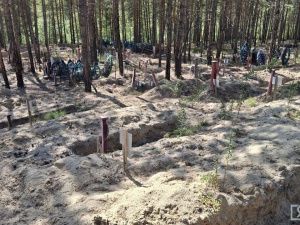 Контроль за работами, ровные ряды и благоустройство территории: что изменится на кладбищах Якутска