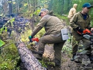 В Якутии увеличилась площадь природных пожаров