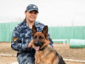 Сегодня кинологическая служба уголовно-исполнительной системы отмечает 110-летие со дня создания