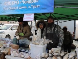 Более 80 тонн рыбы реализовано за два дня на ярмарке «Рыба Якутии»