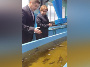 Ольга Балабкина: благодаря субсидии дом культуры в посёлке Чернышевский стал доступнее для маломобильных граждан