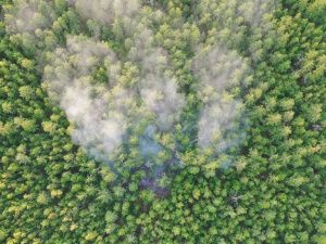 В Якутии за сутки потушили большинство лесных пожаров