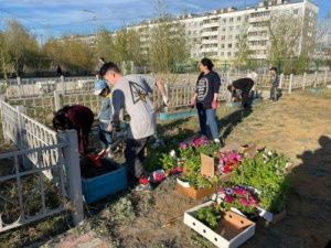 В Якутске запланирована высадка 4600 саженцев деревьев