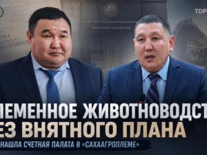 Племенное животноводство без внятного плана: что нашла Счетная палата в «Сахаагроплеме»