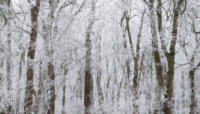 В Оймяконском районе пройдет фестиваль «Полюс холода — 2026»