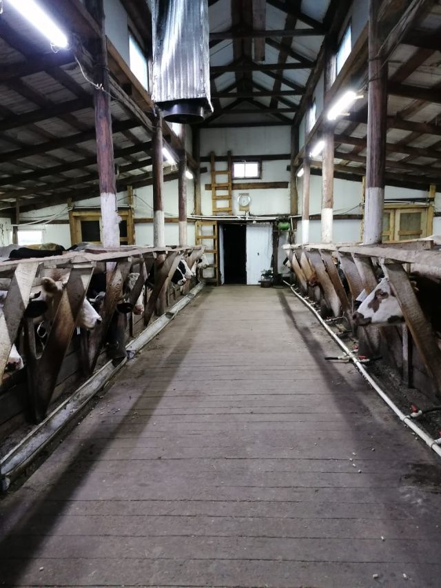 Олег Иринеев: Подготовка хозяйств к зимне-стойловому периоду идет планомерно