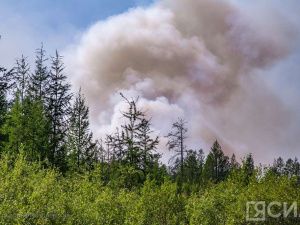 В Якутии предусмотрено денежное вознаграждение за содействие в выявлении виновных в лесном пожаре