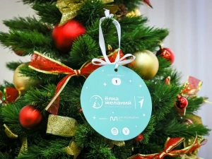 Ольга Балабкина со своим курируемым блоком министерств приняла участие в акции «Ёлка желаний»