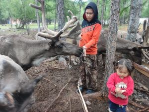 Битва с медведем, роды в чуме и другая цивилизация: история династии оленеводов Погодаевых