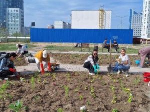 В Якутске активно приступили к цветочному озеленению